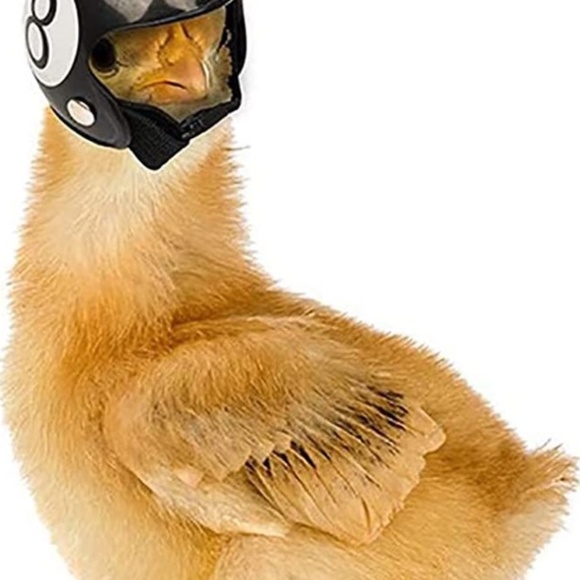 Chicken Bird Duck Quail Pet Helmet Hat Headgear Protection Helmet Red Metallic - Picture 4 of 5